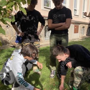 image-9-.jfif