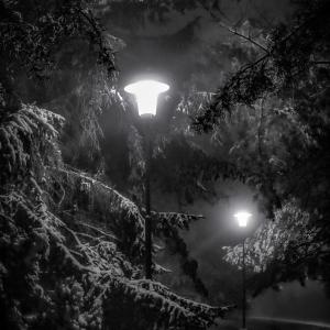 02-yermilov-anfrii-1f.jpg