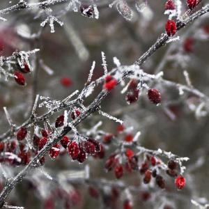 03-vaneckova-sarka-1f.jpg