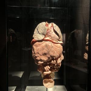 image-1-.jpg