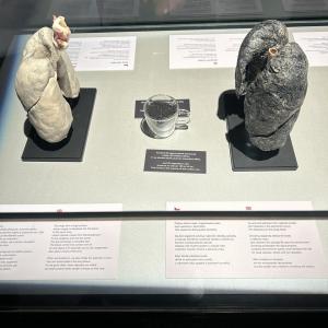 image-8-.jpg