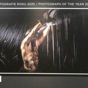 fotoroku2025.jpg